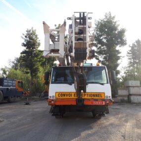 TEREX AC60-3L-1